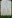 F/Sgt Charles Edward Miller<br /><br /><br />died on active duty - February 21st, 1945