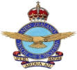 RNZAF Badge